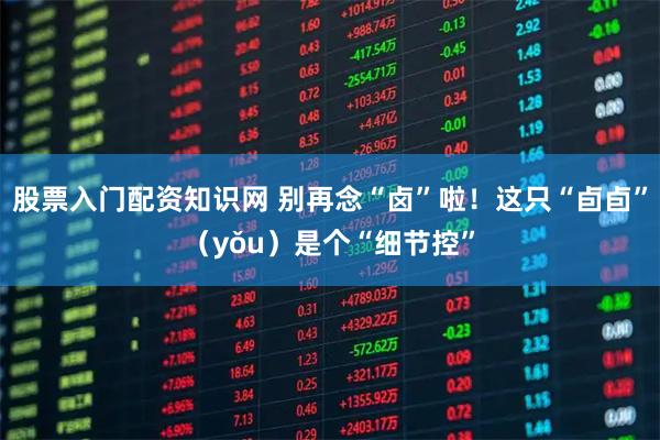 股票入门配资知识网 别再念“卤”啦！这只“卣卣”（yǒu）是个“细节控”