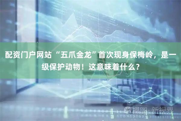 配资门户网站 “五爪金龙”首次现身保梅岭，是一级保护动物！这意味着什么？